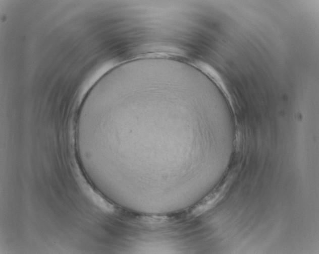 X0000088380859200706191306