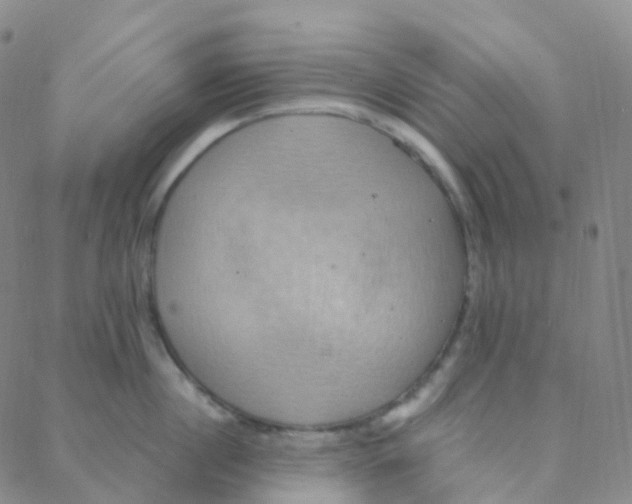 X0000088380860200706191306