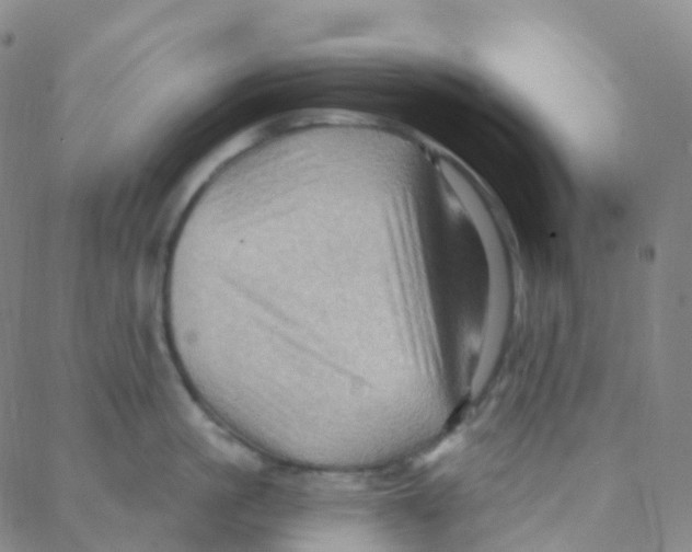 X0000088380861200706191306