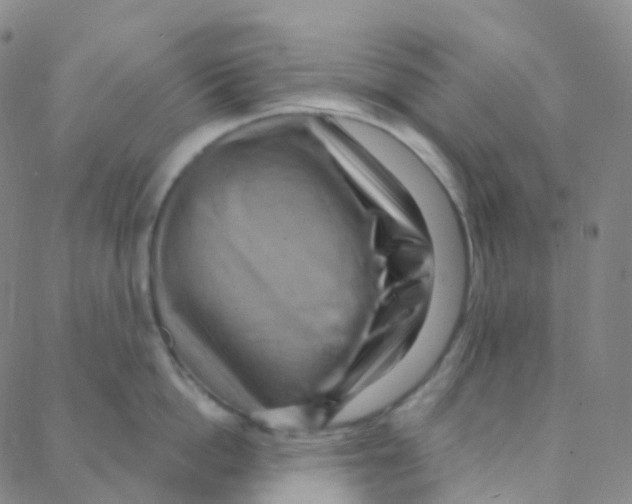 X0000088380862200706191306