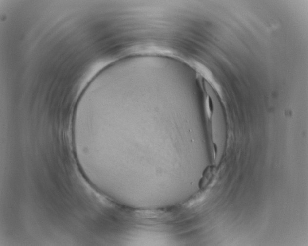 X0000088380863200706191306