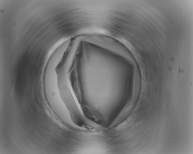 X0000088380864200706191306