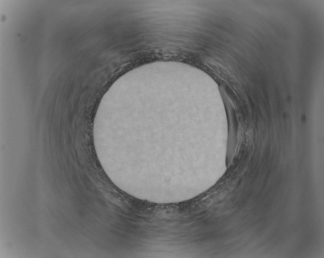 X0000088380865200706191305