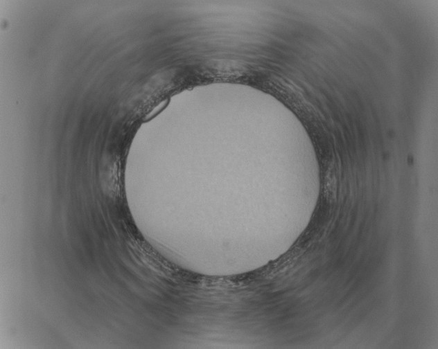 X0000088380866200706191305