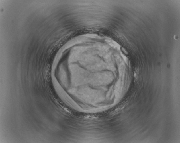 X0000088380867200706191305