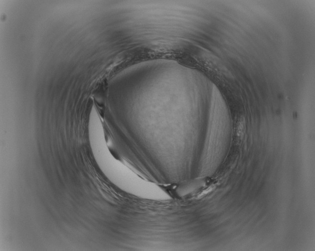 X0000088380868200706191305