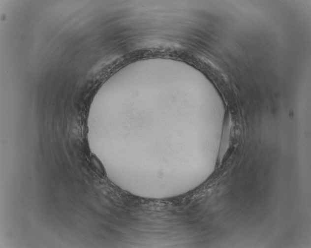 X0000088380869200706191305