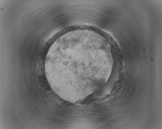 X0000088380871200706191305