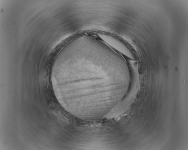 X0000088380872200706191305