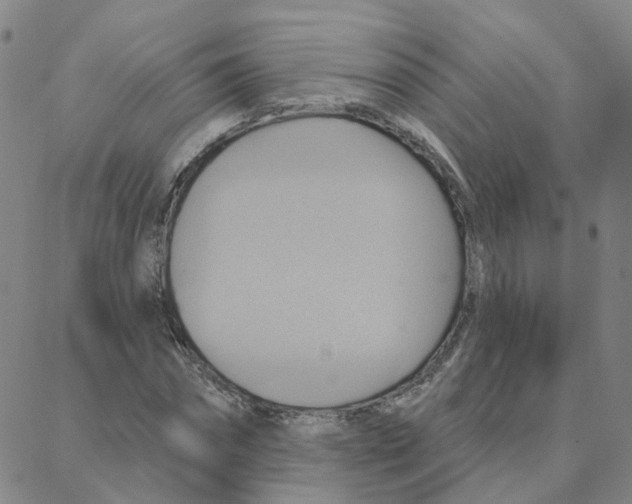 X0000088380874200706191305