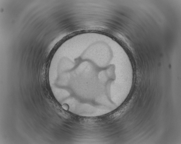 X0000088380875200706191305