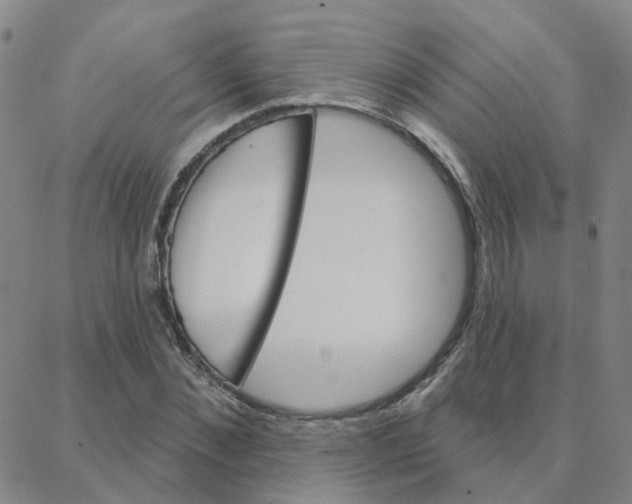 X0000088380876200706191305