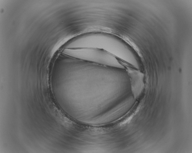 X0000088380877200706191305