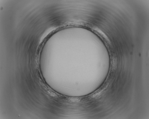 X0000088380878200706191305