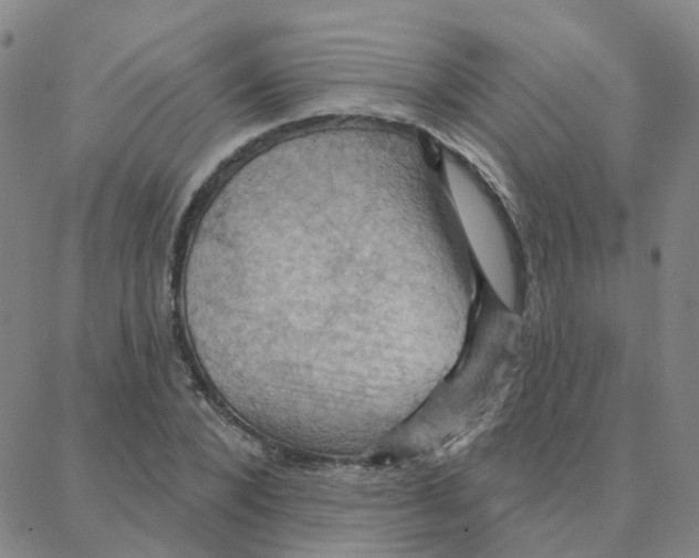 X0000088380880200706191305