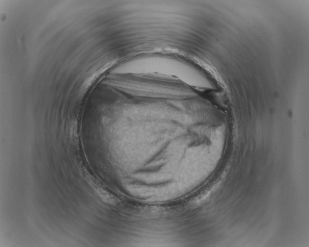 X0000088380881200706191305