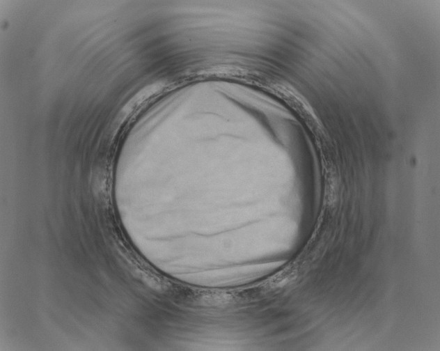 X0000088380882200706191305