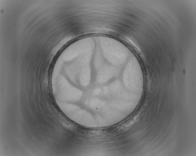 X0000088380883200706191305