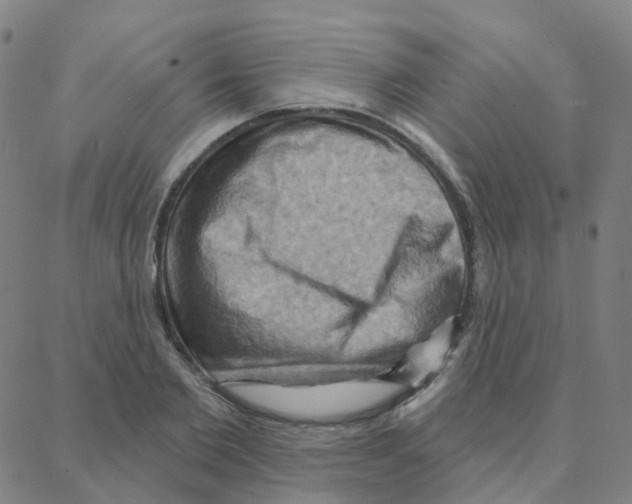 X0000088380885200706191305