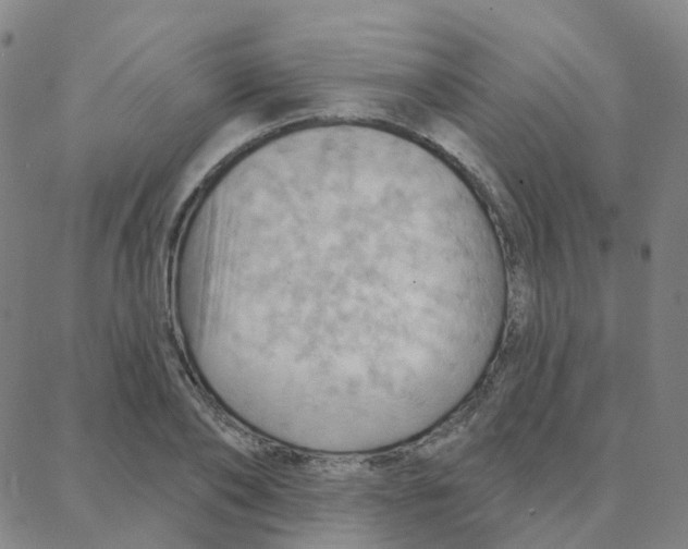 X0000088380886200706191305