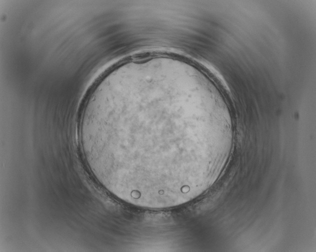 X0000088380887200706191305