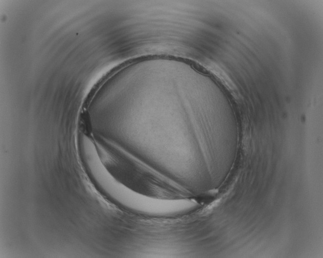 X0000088380888200706191305