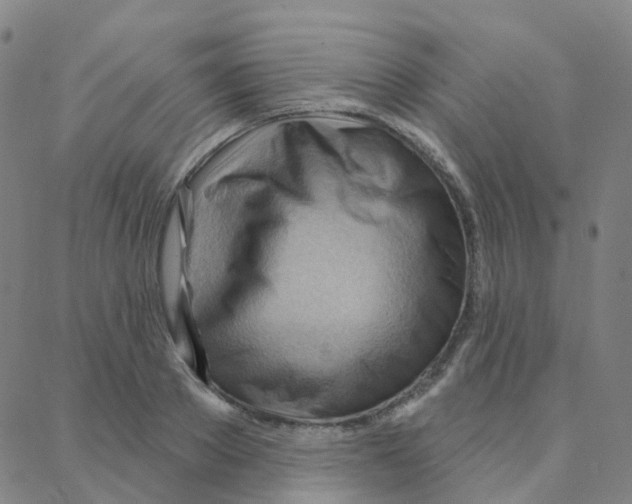 X0000088380889200706191305