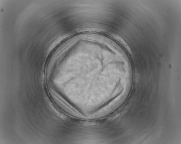 X0000088380890200706191305