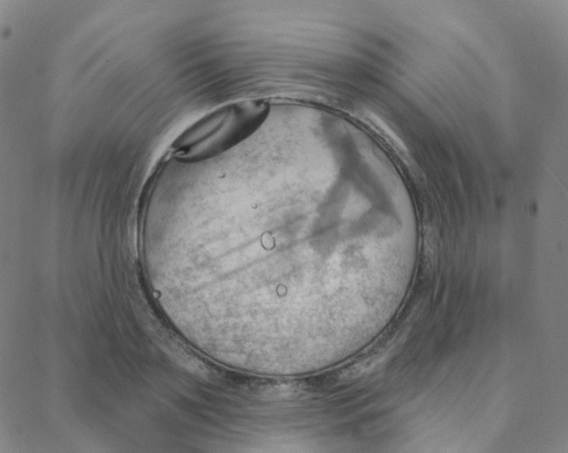 X0000088380891200706191305