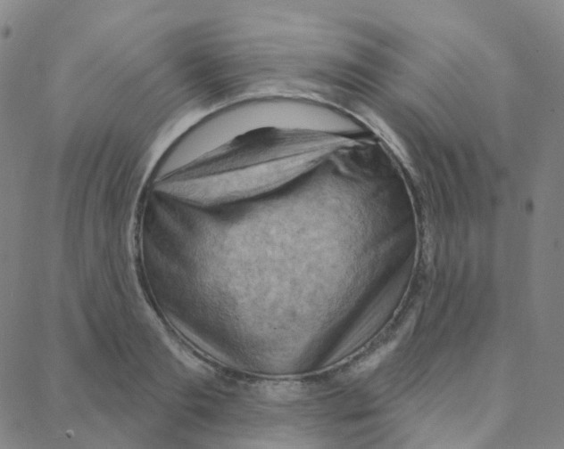 X0000088380893200706191305