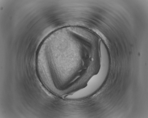 X0000088380894200706191305