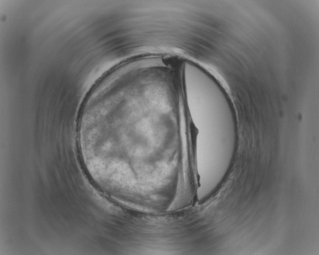 X0000088380895200706191305