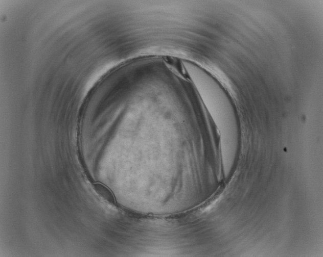 X0000088380896200706191305