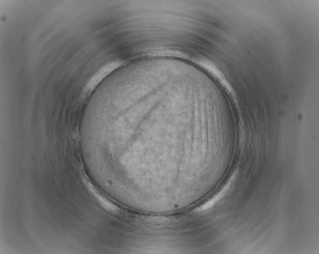 X0000088380897200706191305