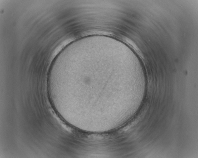 X0000088380898200706191305