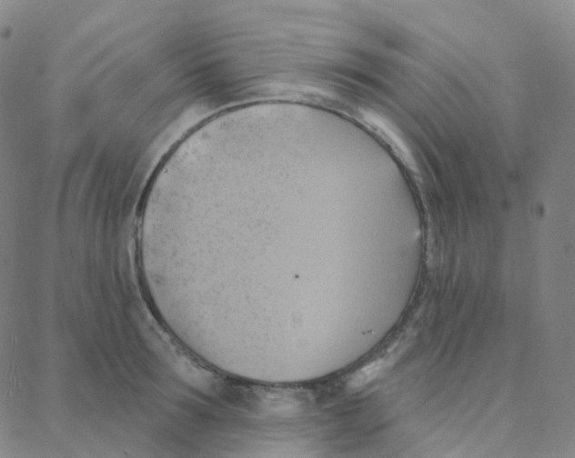 X0000088380899200706191305