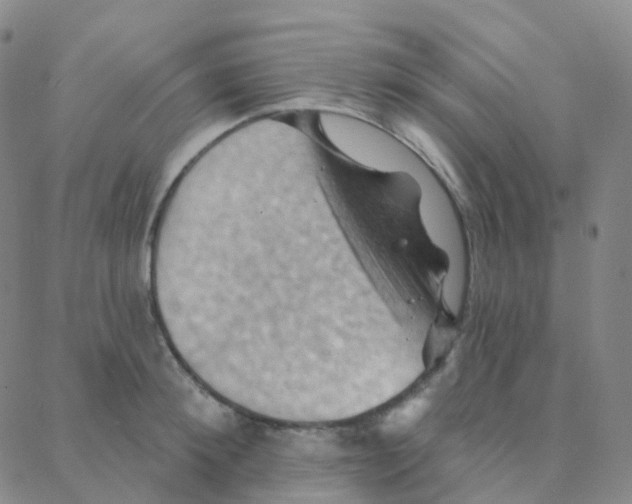 X0000088380900200706191305