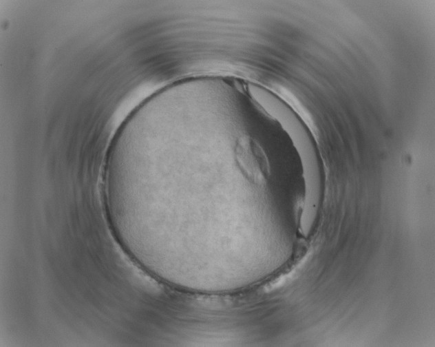 X0000088380901200706191305