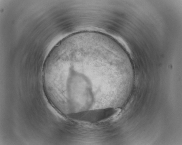 X0000088380903200706191305