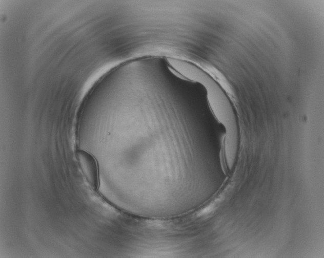 X0000088380904200706191305