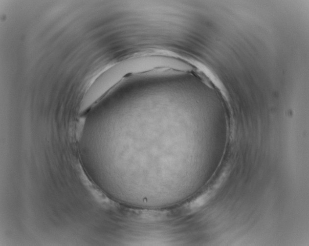 X0000088380905200706191305