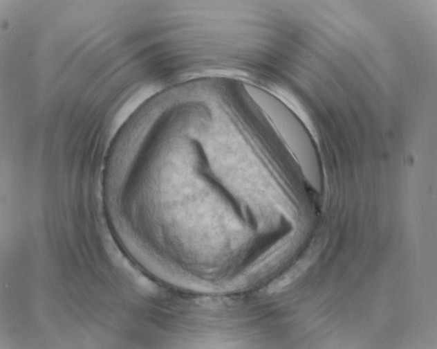 X0000088380906200706191305