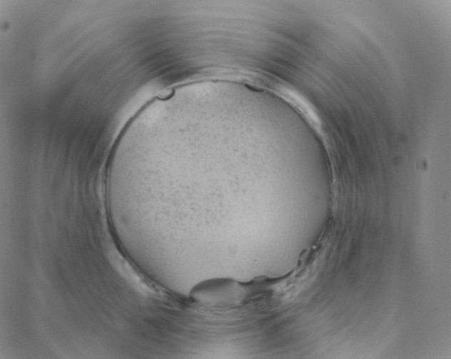 X0000088380907200706191305