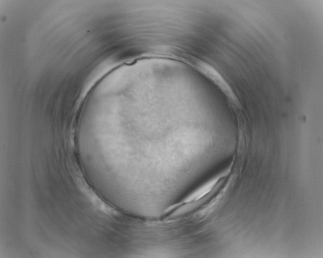 X0000088380908200706191305