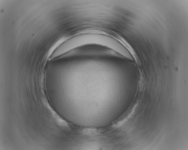 X0000088380909200706191305