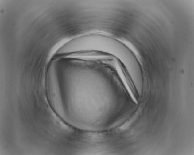 X0000088380910200706191305