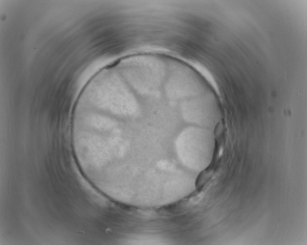 X0000088380911200706191305