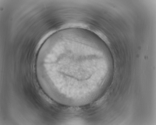 X0000088380912200706191305