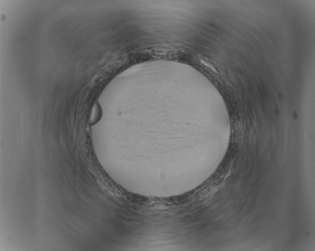 X0000088380913200706191304