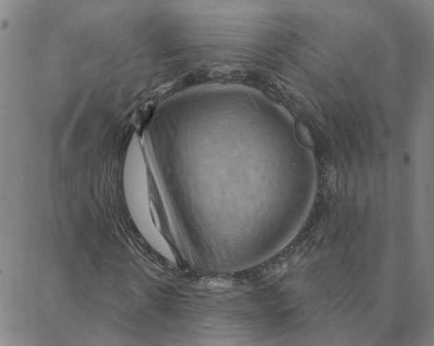 X0000088380914200706191304